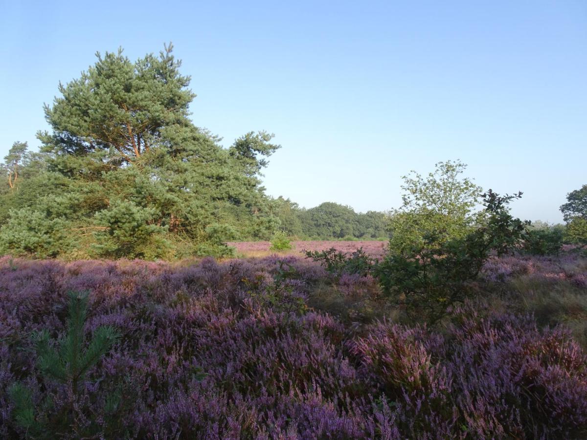 Veluwe Park Reewold Chalet Eclipse พุทเทิน ภายนอก รูปภาพ